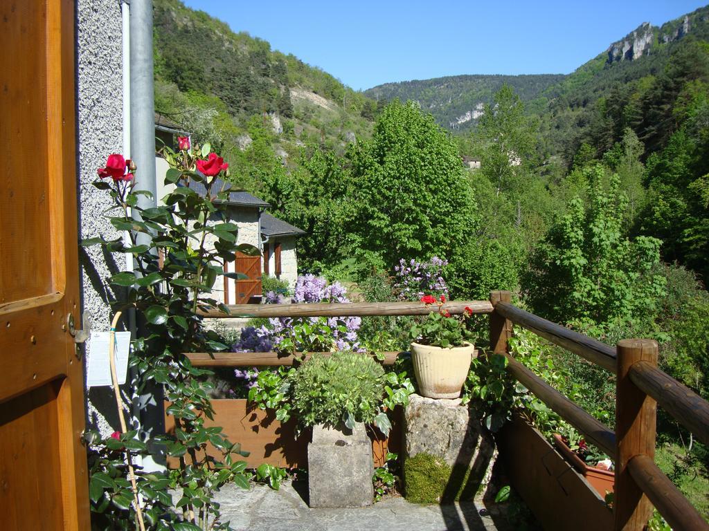 La Caze Villa Saint-Pierre-des-Tripiers Exterior photo